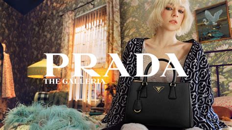 prada images|prada photoshoot.